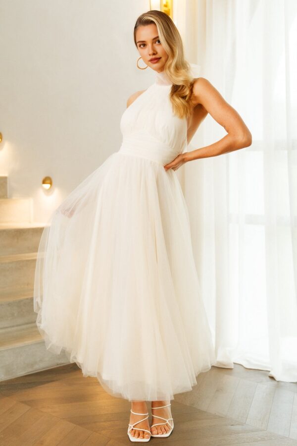 Halter Neck Tulle High Neck Maxi Dress