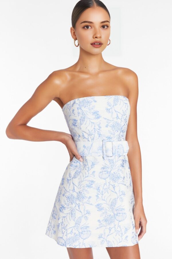 Strapless Printed Brocade Mini Dress